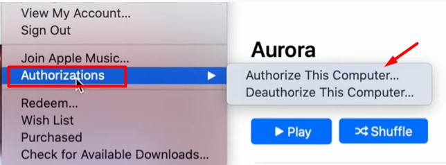 Resettare iPhone 11 con iTunes - Autorize computer to iphone